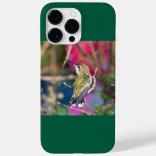 Coque Case-Mate iPhone Colibri à gorge rubis