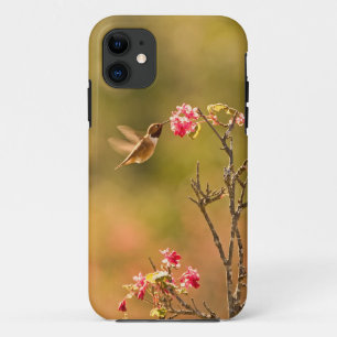 Case-Mate iPhone Case Colibri et fleurs roses