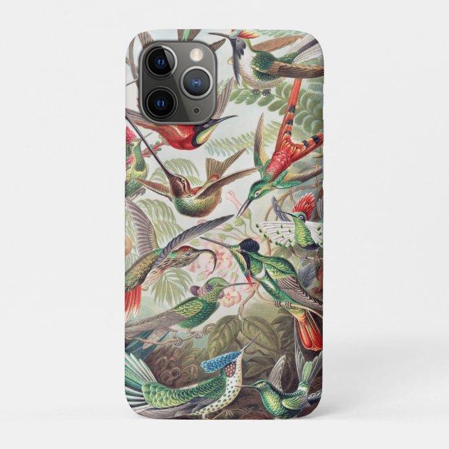 Coques Case-Mate iPhone Colibri, Trochilidae Kolibris par Ernst Haeckel (Dos)