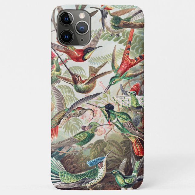 Coques Case-Mate iPhone Colibri, Trochilidae Kolibris par Ernst Haeckel (Dos)