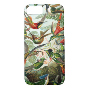 Coque iPhone 8/7 Colibris par Ernst Haeckel