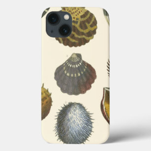 Coque Case-Mate iPhone Collection Conchology