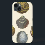 Coques Pour iPhone Collection Conchology<br><div class="desc">Si vous ne pouvez pas vous rendre à la plage aujourd'hui, obtenez cette image de style classique de cette image unique de la vie marine par Albertus Seba! Imaginez-vous sur une plage à la découverte d'anémones marins que la nature a à offrir. Ces coquillages et plantes de mer au bord...</div>