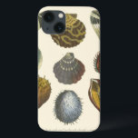 Coques Pour iPhone Collection Conchology<br><div class="desc">Si vous ne pouvez pas vous rendre à la plage aujourd'hui, obtenez cette image de style classique de cette image unique de la vie marine par Albertus Seba! Imaginez-vous sur une plage à la découverte d'anémones marins que la nature a à offrir. Ces coquillages et plantes de mer au bord...</div>