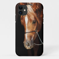collection de chevaux. couverture rouge arabe pour