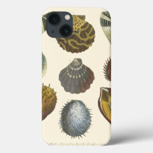Coques Pour iPhone Collection de conchyliologie