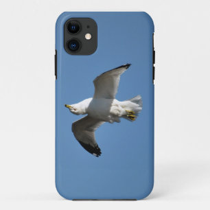 Coques Pour iPhone Collection de la faune du goéland volant à l'enver