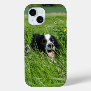 Coque Case-Mate iPhone Collie noir et blanc en herbe