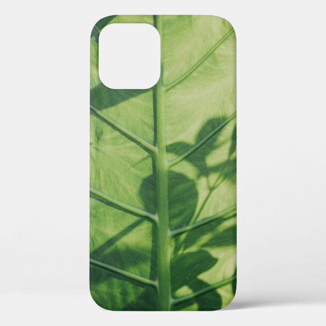 Coques Case-Mate iPhone Colocasia feuille esculenta (Verso)