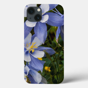 iPhone 13 Case Colorado Blue Columbine près de Telluride Colorad