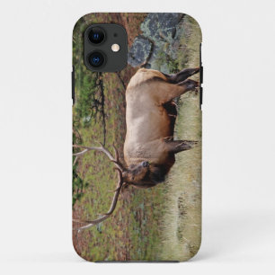Coque Case-Mate Pour iPhone Colorado Elk iPhone 5