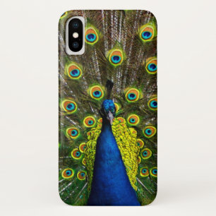Case-Mate iPhone Case Colorful peacock