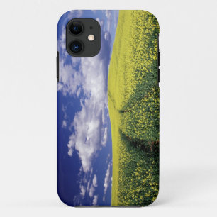 Coque Case-Mate Pour iPhone Colza jaune dans le comté de Whitman, État de Wash