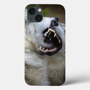 iPhone 13 Coque Combat de loup