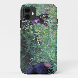 Coque Case-Mate iPhone Conception de l'ours pour les animaux et les anima