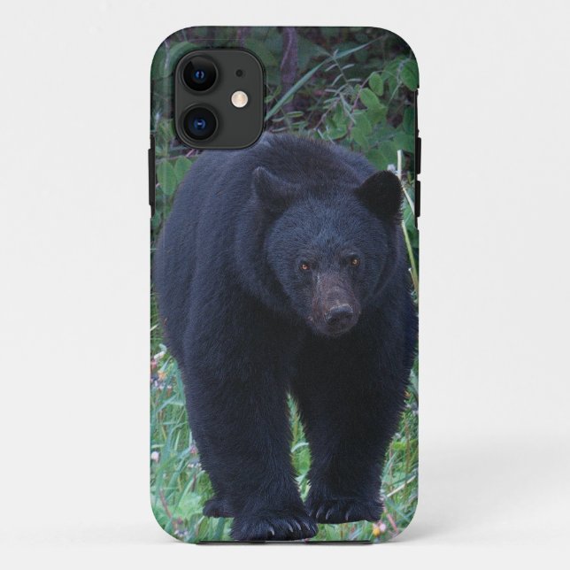 Coques Case-Mate iPhone Conception de l'ours pour les animaux et les anima (Dos)