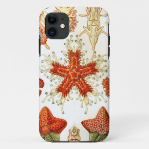 Coques Pour iPhone Conceptions communes d'étoiles de mer