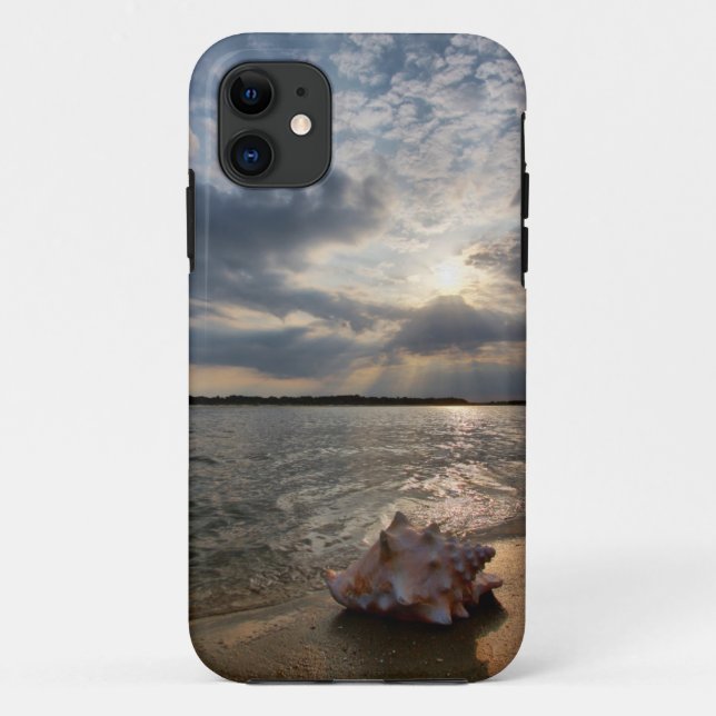 Coques Case-Mate iPhone Conque Shell à la plage | St Augustine, la Floride (Dos)