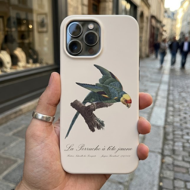 Coques Case-Mate iPhone Conure de Caroline, Conuropsis carolinensis (Carolina parakeet, Conuropsis carolinensis. iPhone Case )