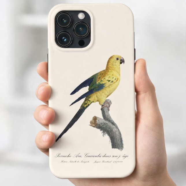Coques Case-Mate iPhone Conure soleil Aratinga solstitialis (Guarouba dans sons jeune age / Sun parakeet. iPhone 13 Pro Max Case)