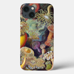 Case-Mate iPhone Case Copie vintage de Haeckel Actiniae