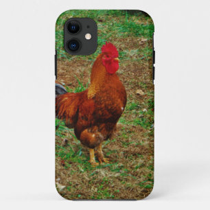 Case-Mate iPhone Case Coq