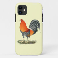 Coq de rouge bleu de coq de combat