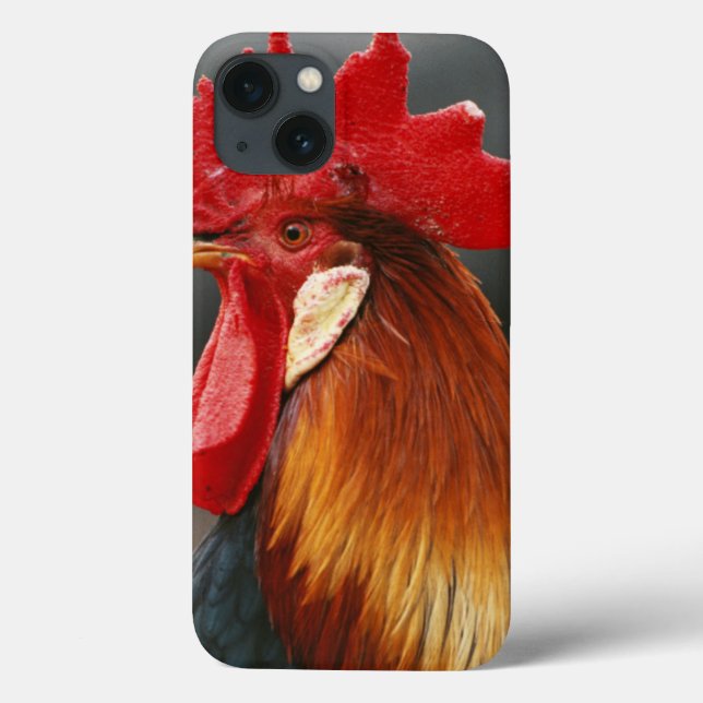 Coques Case-Mate iPhone Coq domestique de la ferme (Verso)