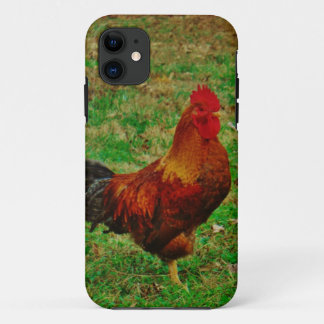 Coque iPhone 11 Coq Face à droite