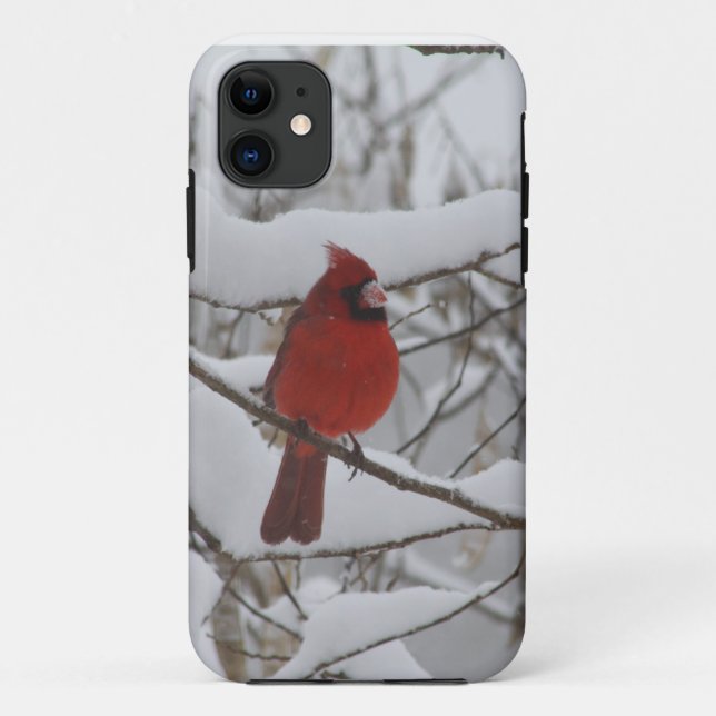 Coques Case-Mate iPhone Coque-compagnon cardinal d'Iphone 5 de nez de (Dos)