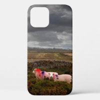 Coque-coque iphone de mouton coloré
