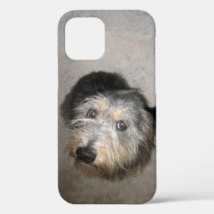 Case-Mate iPhone Case Coque-coque iphone Mate chien mignon