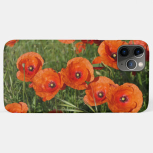 Case-Mate iPhone Case Coquelicots communs