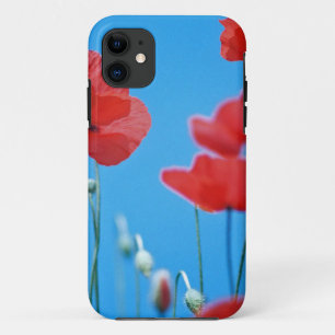 Coque Case-Mate Pour iPhone Coquelicots de Provence