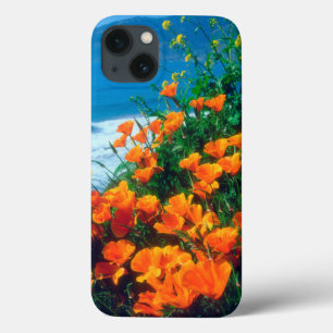 iPhone 13 Case Coquelicots le long de la côte Pacifique près de B