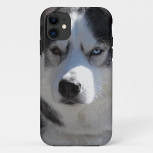 Coques Pour iPhone Coques iphone Husky Chig Coques Husky Malamute