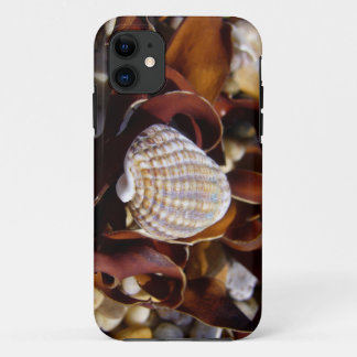 Case-Mate iPhone Case Coquillage