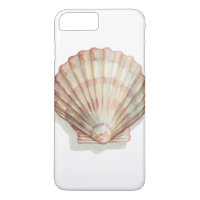 Coquillage rose et crème