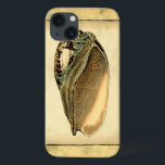 Case-Mate iPhone Case Coquillage Vintage rustique<br><div class="desc">Cette oeuvre de Vision Studio capture quelques-unes des meilleures vies océaniques. Obtenez cette oeuvre d'art rustique de cette coquille Conch. Emmenez l'océan avec vous partout où vous allez.</div>