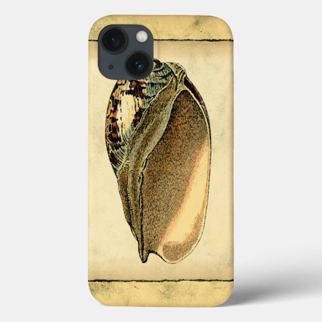 Coques Case-Mate iPhone Coquillage Vintage rustique (Verso)