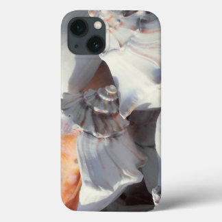 Etui iPhone 13 Coquillages au soleil et à l'ombre