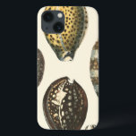 iPhone 13 Coque Coquillages uniquement formés<br><div class="desc">Présentez sur le sable chaud et trouvez les trésors cachés ! Cette peinture par Kobeit, il capture la belle vie de l'eau trouvée à terre. Kobeit capture une belle rangée de coquillages modifiés la tonalité par sépia dans un ton vintage. Obtenez votre bel art d'océan aujourd'hui sur votre prochain produit...</div>