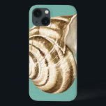 Etui iPhone 13 Coquille striée Sepia sur Turquoise<br><div class="desc">Megan Meagher est connue pour ses oeuvres d'art simples. Il s'agit d'une grande image d'art décoratif qui capte la vie marine avec une coquille sépia conque rayée. Obtenez cette impression fine d'art aujourd'hui sur couleur turquoise sur votre produit Zazzle.</div>