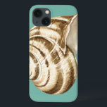 Etui iPhone 13 Coquille striée Sepia sur Turquoise<br><div class="desc">Megan Meagher est connue pour ses oeuvres d'art simples. Il s'agit d'une grande image d'art décoratif qui capte la vie marine avec une coquille sépia conque rayée. Obtenez cette impression fine d'art aujourd'hui sur couleur turquoise sur votre produit Zazzle.</div>