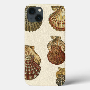 iPhone 13 Case Coquilles antiques craquelées