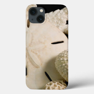 Coque Case-Mate iPhone Coquilles blanches et dollar de sable
