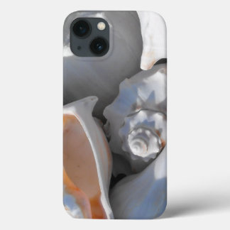 Coques Pour iPhone Coquilles de Conque de Près