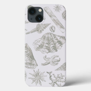 Etui iPhone 13 Coquilles de mer gris sauge doux croquis Antique N
