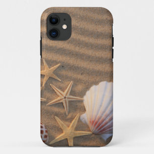 Coques Pour iPhone Coquilles et étoiles de mer de mer