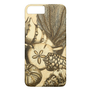 Coque Case-Mate Pour iPhone Coquilles neutres et collection de corail